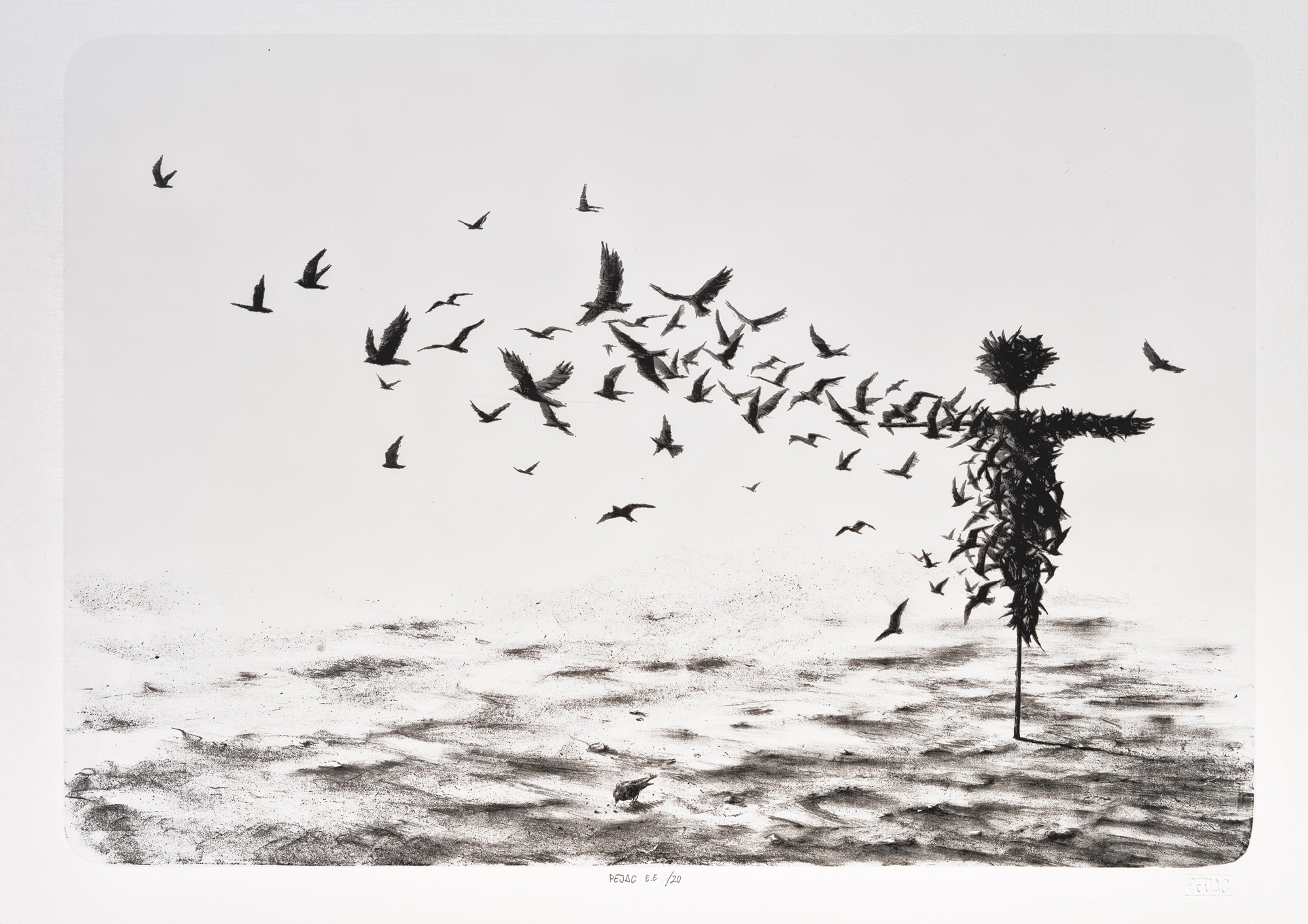 Scattercrow (Edicioń Especial)