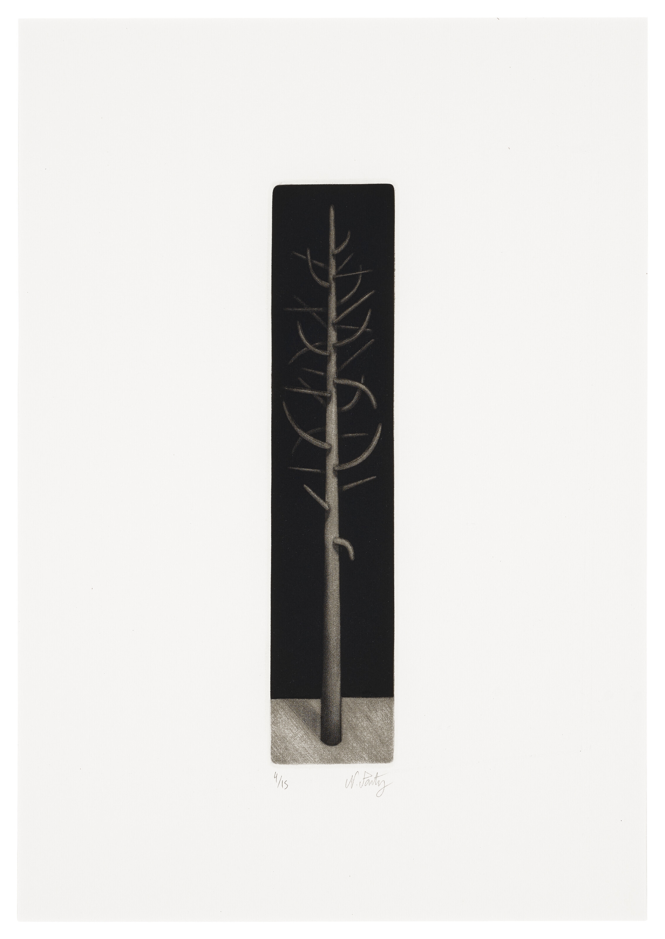 Tall Tree