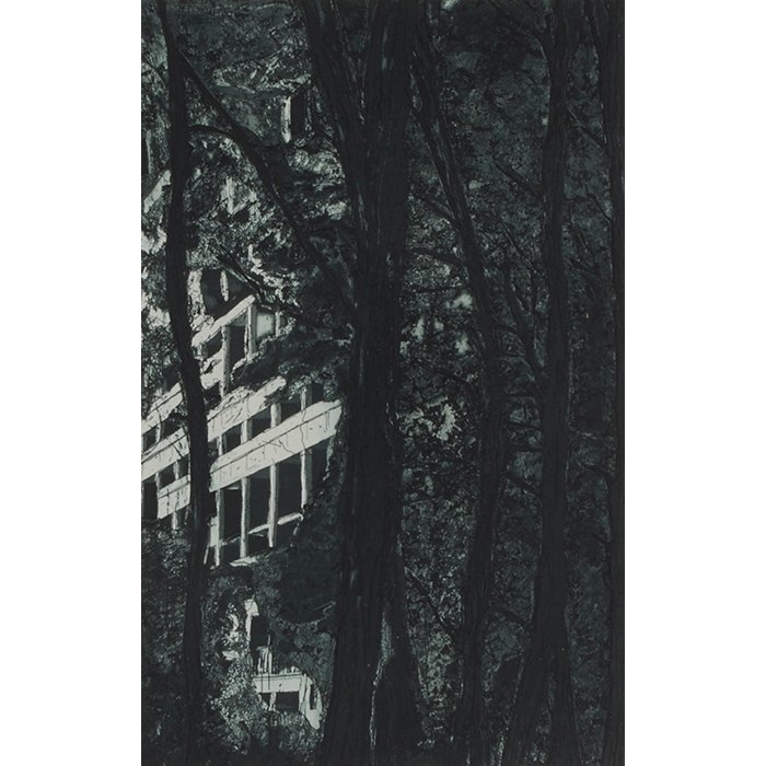Concrete Cabin (Ten Etchings)
