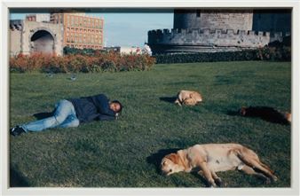 Let Sleeping Dogs Lye, 2005