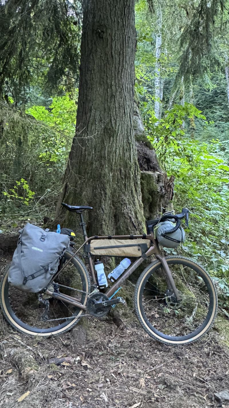 A brown bicycle loaded with camping gear