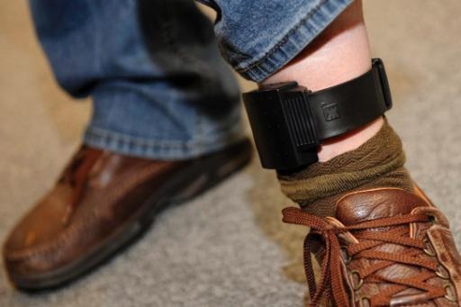 Sharp rise in electronic tagging in Wallonia and Brussels