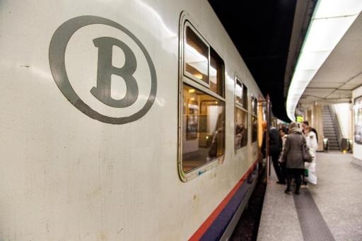 1 individual brings trains to halt on tracks between Brussels-North and Brussels Midi stations