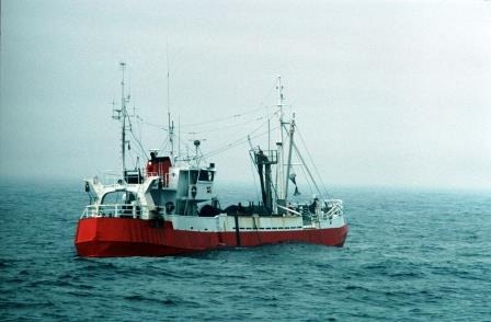 Consultation on new EU fishing rules questioned by WWF