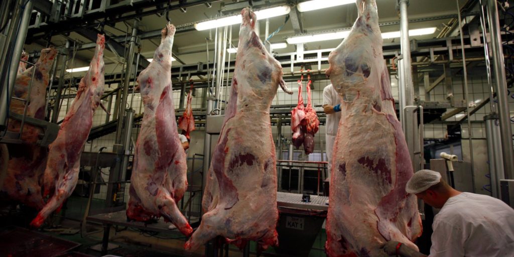 New on 1st of June - slaughtering animals without stunning them first will be banned in Wallonia