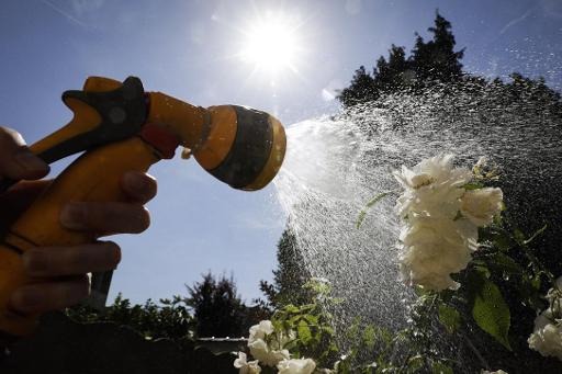 Businesses in Flanders donate water for watering plants