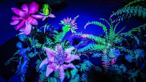 Kikk Festival shows impact of humans, technology on planet