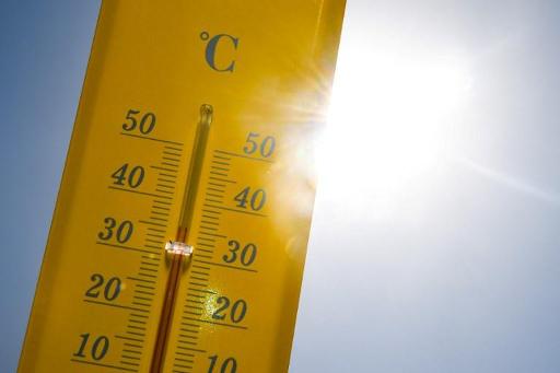 2019&#8217;s June was fourth hottest since 1901, report IRM