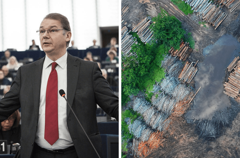 Environmental crisis requires same response as 2008 financial crisis, says leading Green MEP