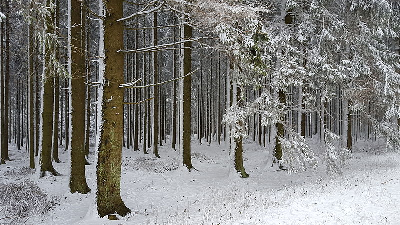 Snow predicted in Belgium on Tuesday after &#8216;atypical&#8217; warm period