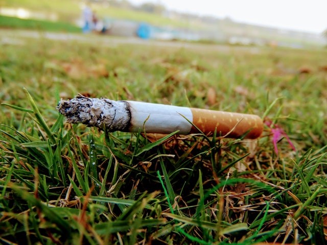 Brussels considers cigarette ban in parks after unofficial campaign launched