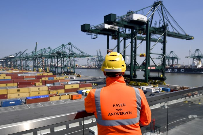 Port of Antwerp is a European hub for illegal pesticides