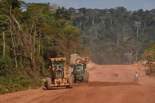 Investors call for an end to Amazon deforestation