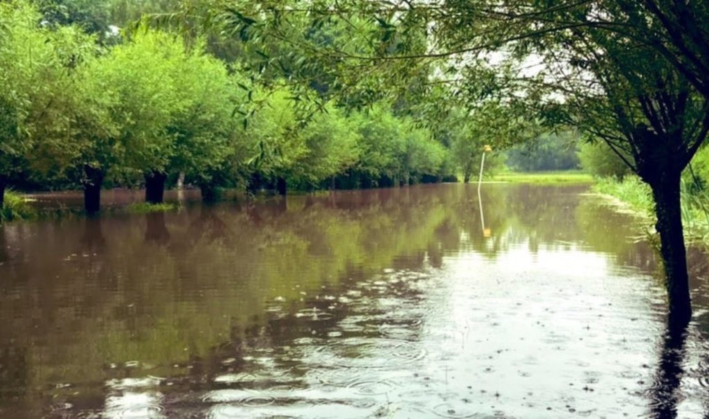 ‘The damage is considerable’: Floods deal heavy blow to agriculture