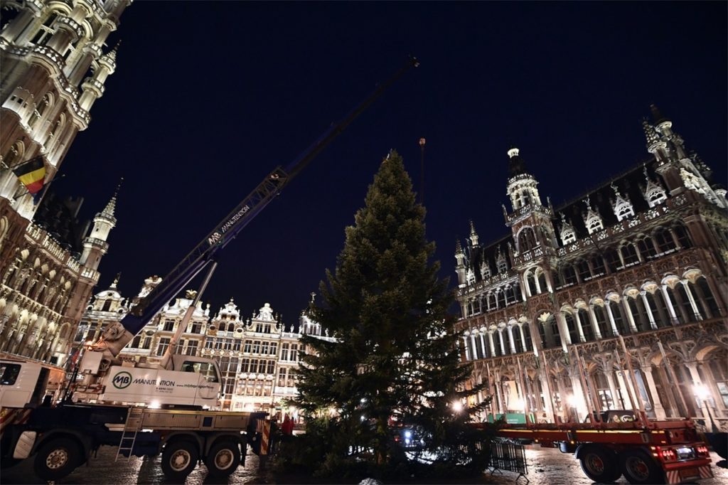 Brussels to put up Grand Place Christmas tree on Thursday