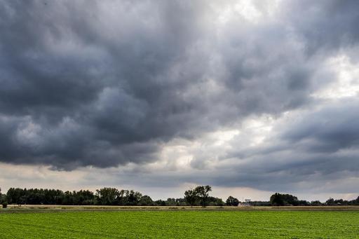 A week of mild weather on the way in Belgium, RMI predicts
