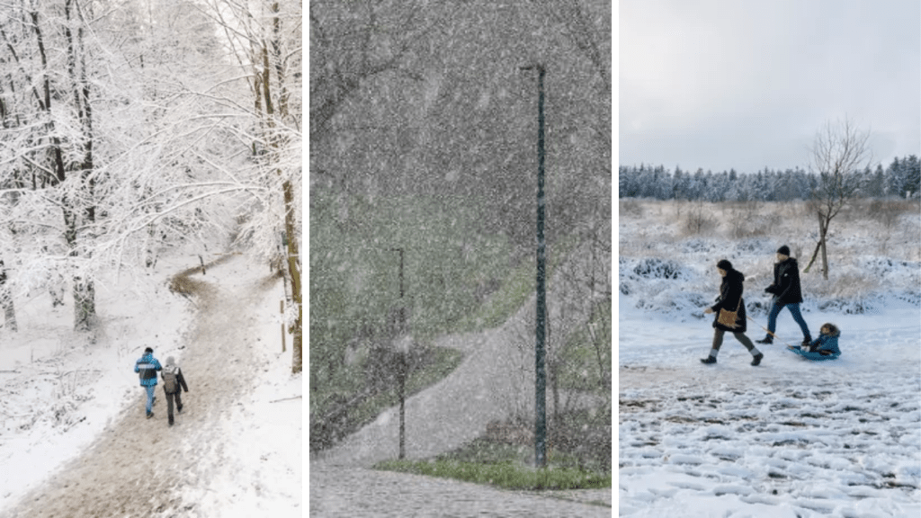 Belgium in Brief: Let it snow