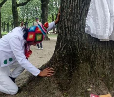 Peruvian actor marries Brussels tree in Cinquantenaire park