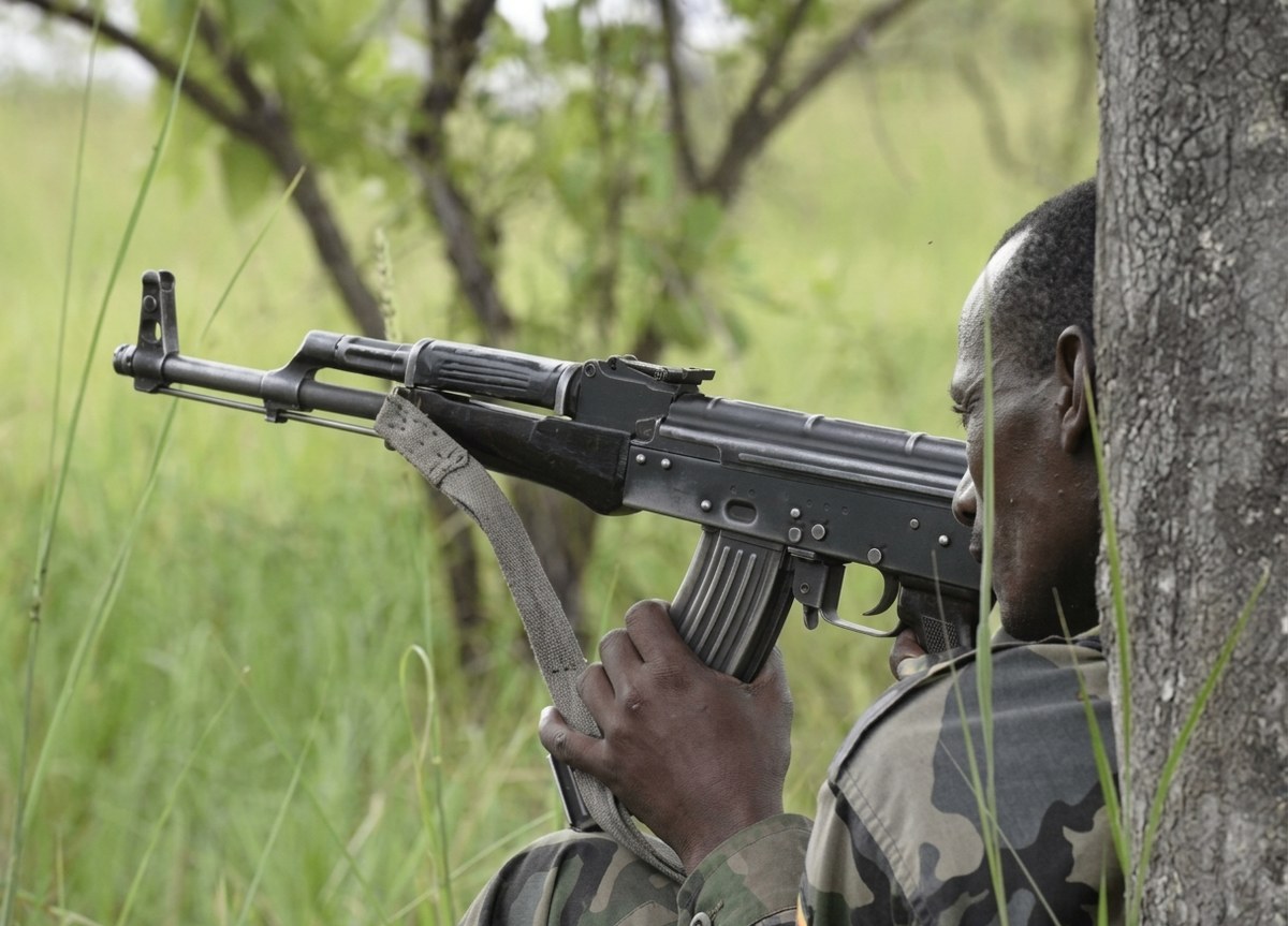 Oromia Authorities Order Farmers in Conflict-Prone Zones to Arm Themselves