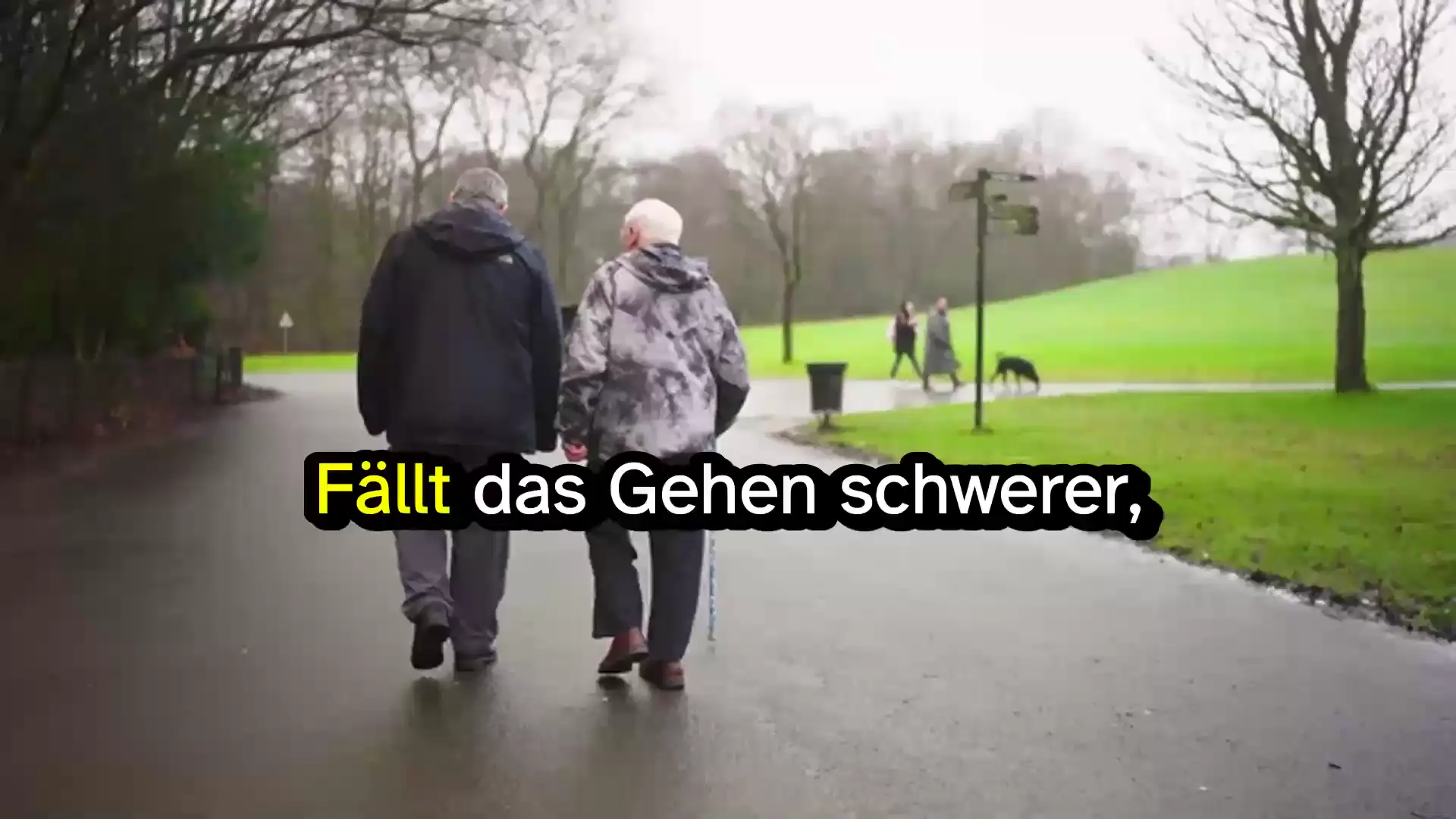 Rollator über die Krankenkasse: Kosten, Antrag & Tipps