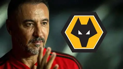 image of Vítor Pereira Appointed as Wolverhampton Wanderers Manager 