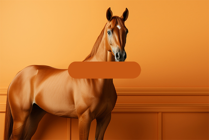 Articoo-Animal Category