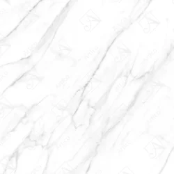 Artico_0017