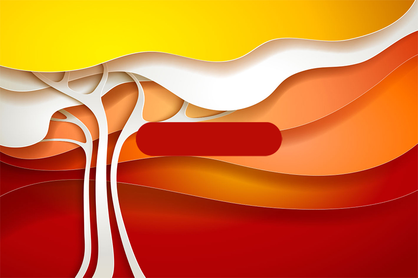 Articoo-Vectors Category