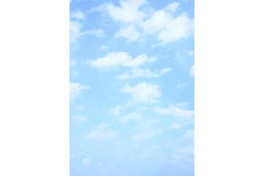 Artico_0597