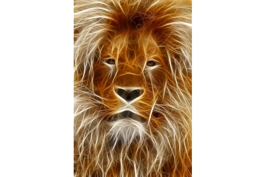 Lion_4