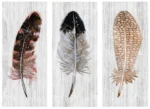 Bohemian wall art print with three rustic feathers design - Image 2