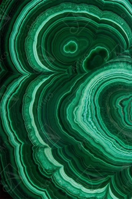 Articoo - Vibrant Green Malachite Stone Concentric Rings Mineral Texture - 186585