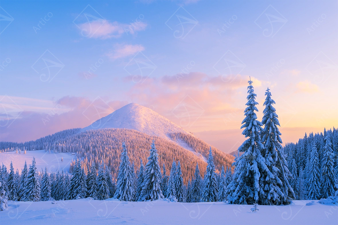 Artico-1023 Snowy Mountain Forest Landscape At Sunset Sunrise
