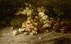 Still Life with Grapes