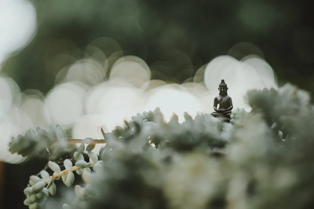 Claim part background image