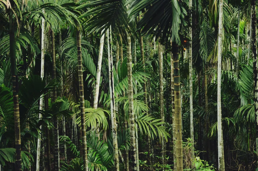 Claim part background image