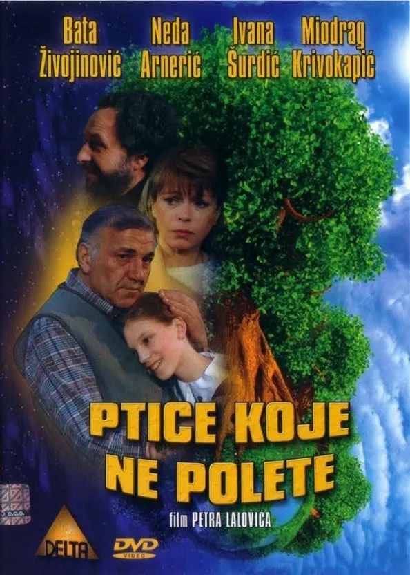 Ptice koje ne polete