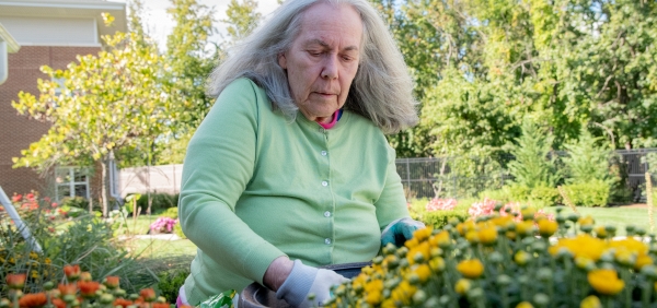 senior lady gardening