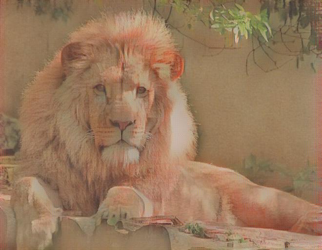 Animals in Van Gogh style