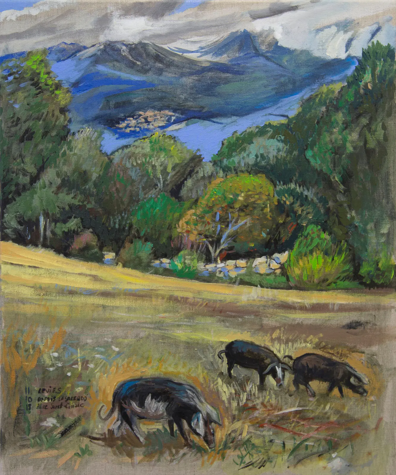 Depuis la Sarrado'