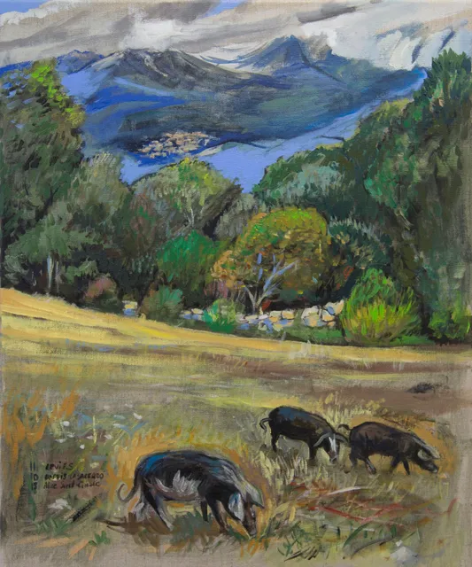 Depuis la Sarrado'