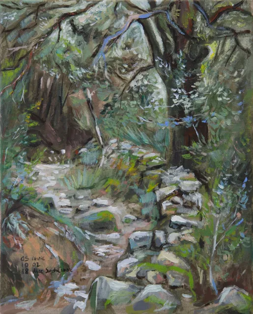 Sur le chemin de Cucuruzzu