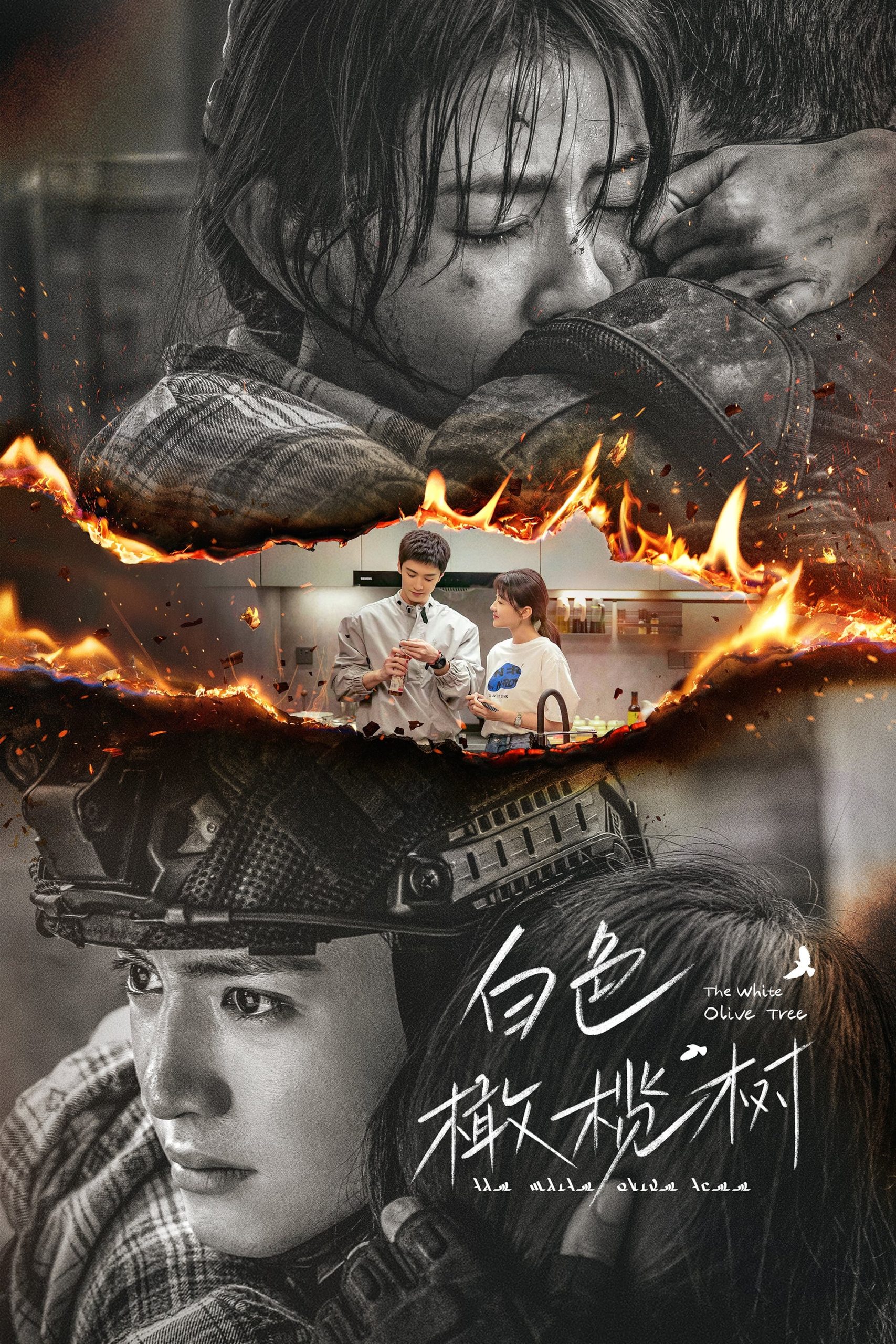 白色橄欖樹-= 怸．言=