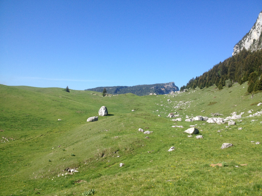 Courrir sur les hauts plateaux de Chartreuse : que du bonheur !
