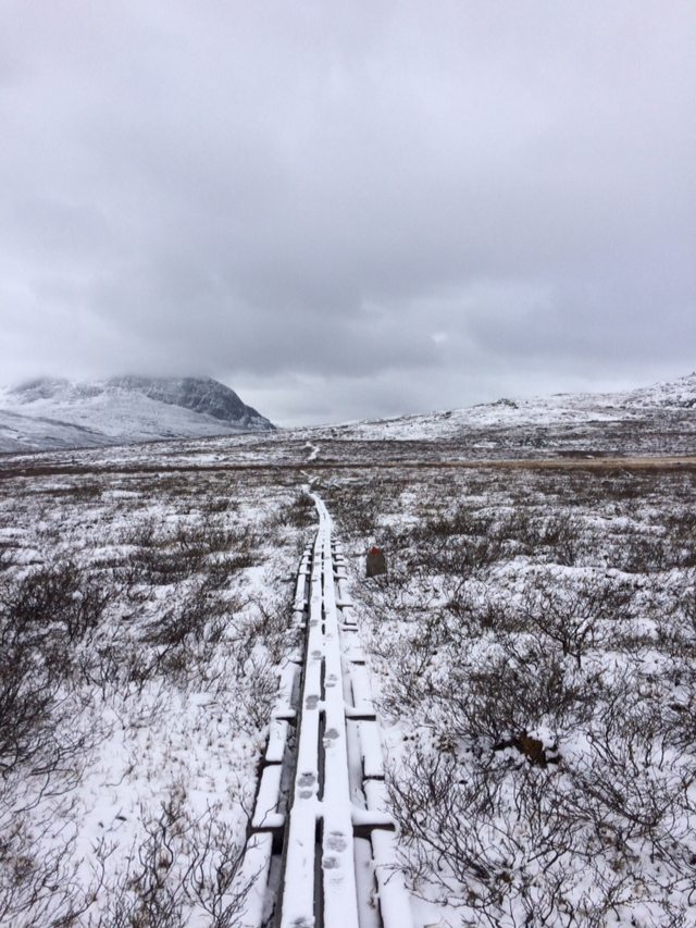 Kungsleden