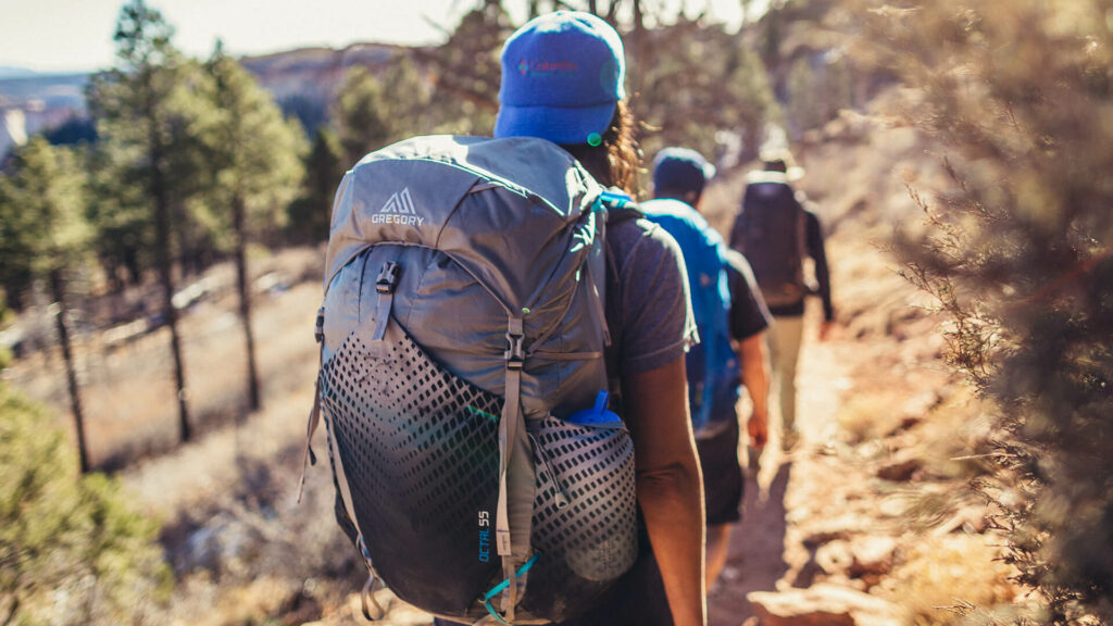 Sac à dos de randonnée léger GREGORY PACKS