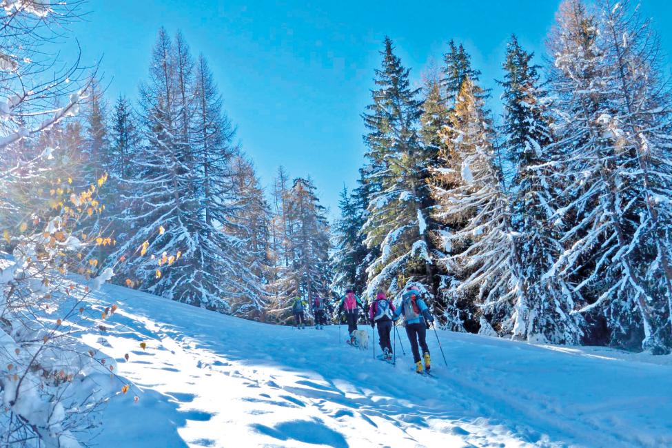 ski de rando-lesArcs