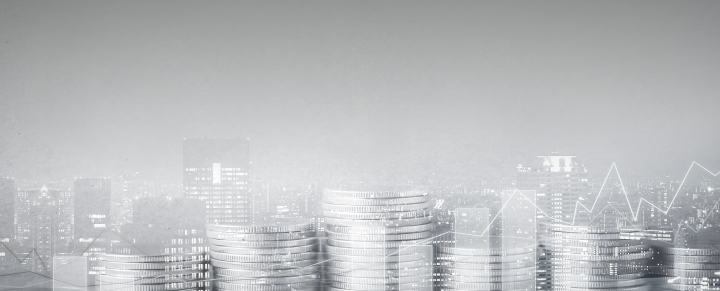 Información Financiera