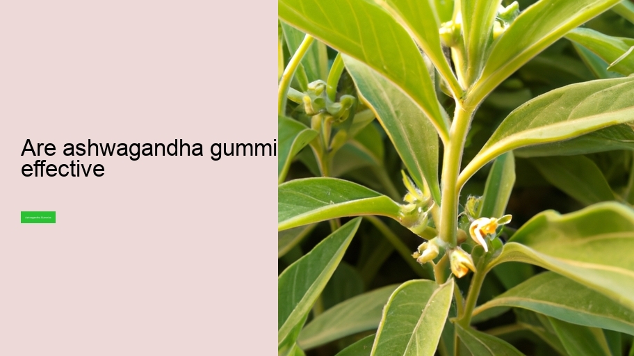 are ashwagandha gummies effective