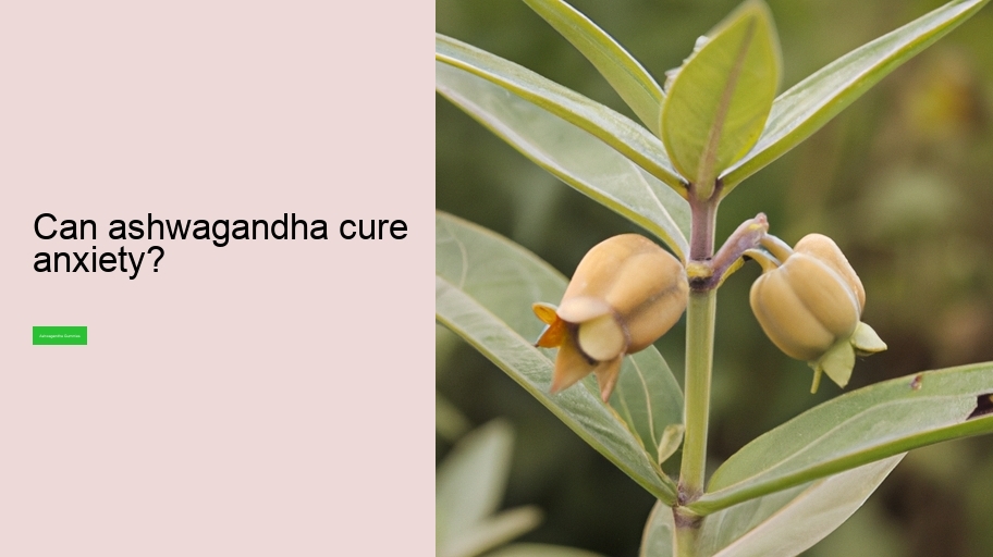 Can ashwagandha cure anxiety?